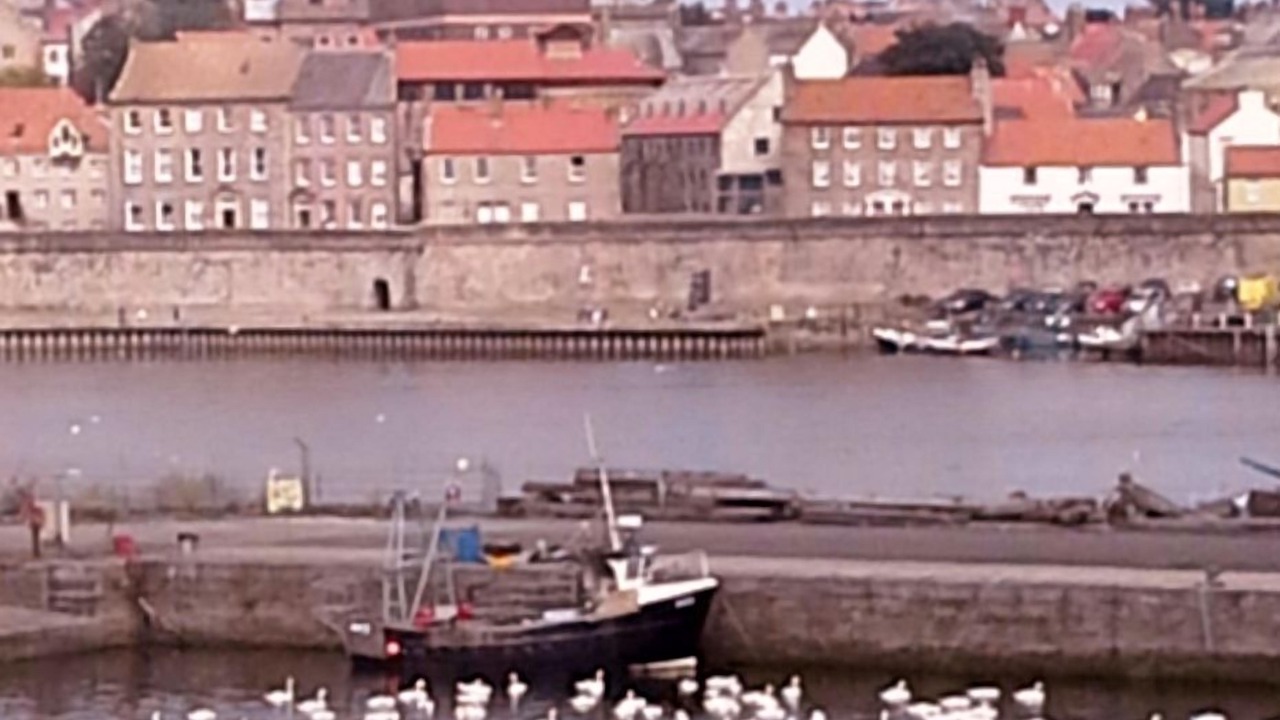 Photo of Others in Kelso