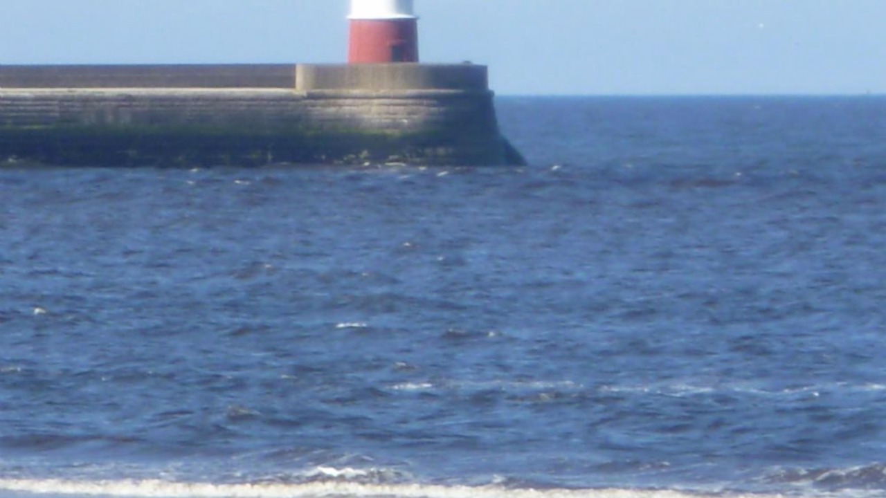 Photo of Others in Kelso