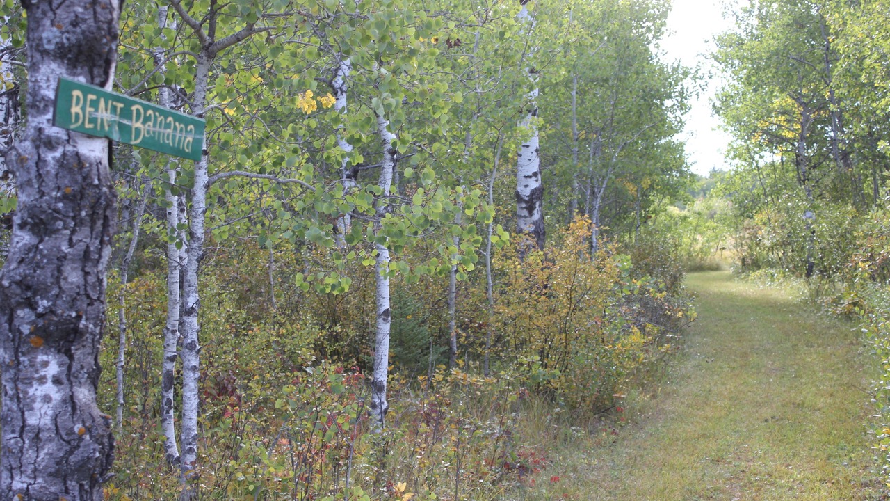 Photo of Outdoor in Grand Beach
