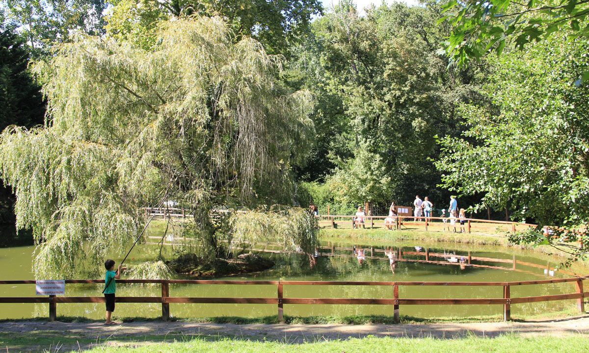 Photo of Others in Orthez