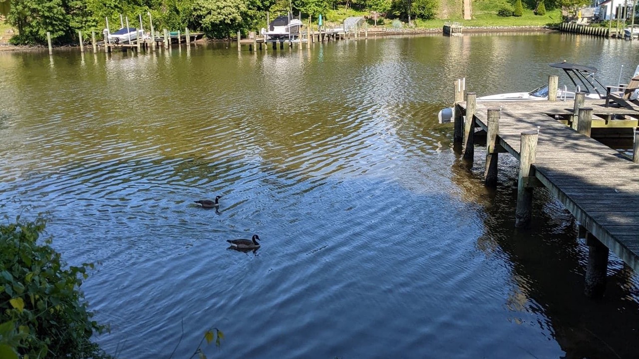 Photo of Outdoor in Green Haven