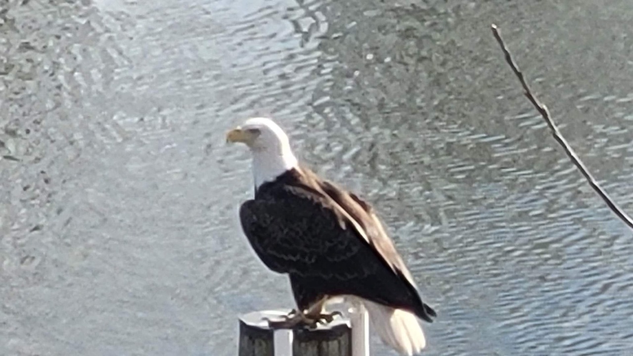 Photo of Outdoor in Green Haven
