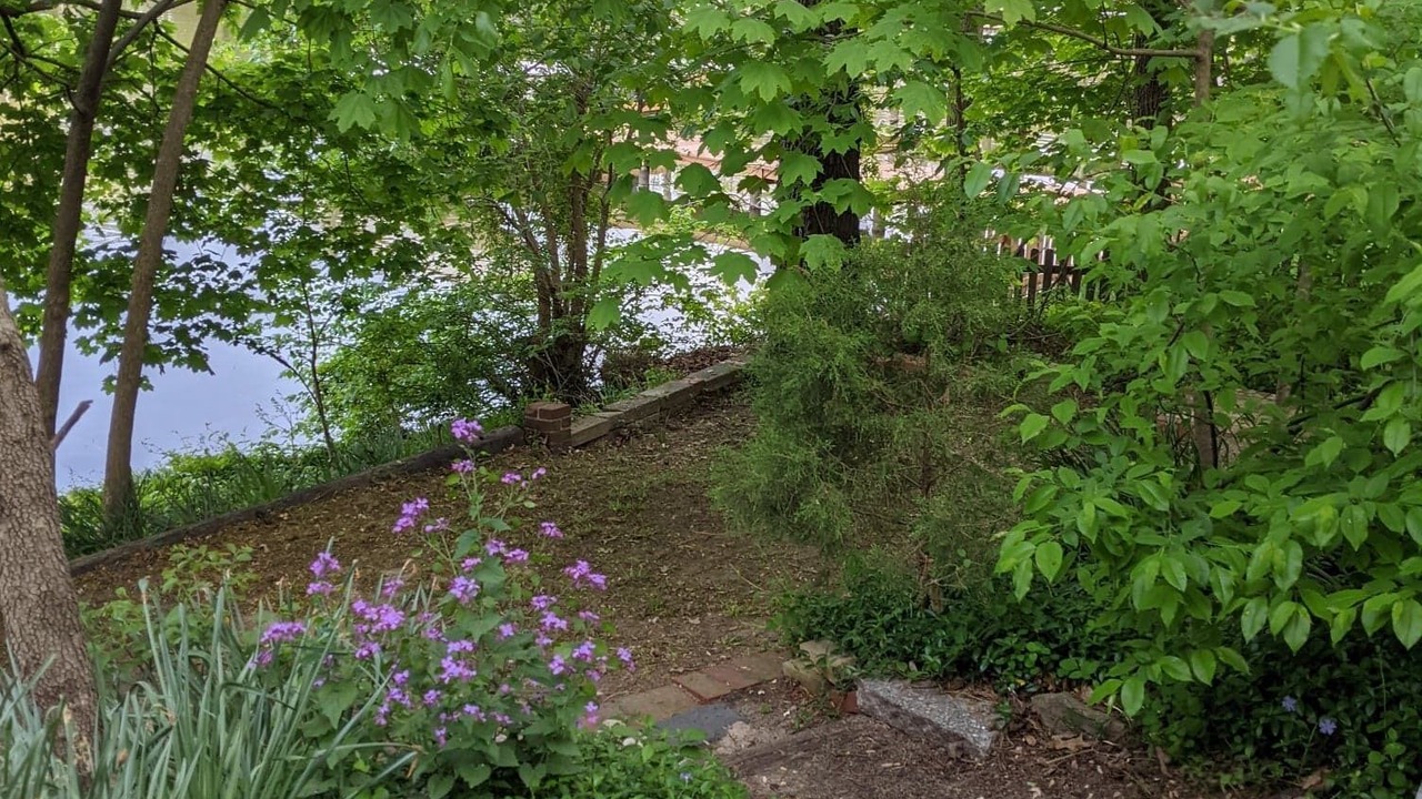 Photo of Outdoor in Green Haven