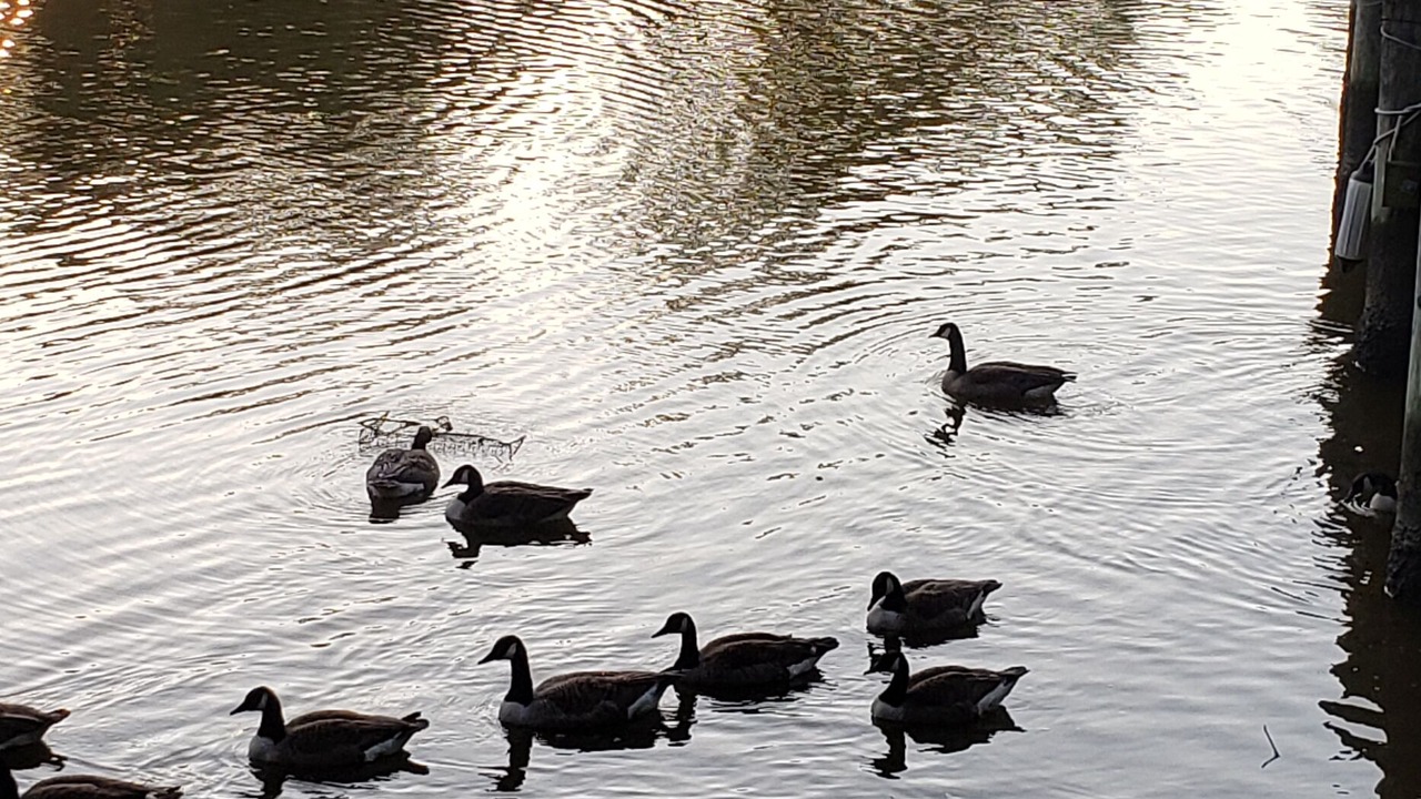 Photo of Others in Green Haven