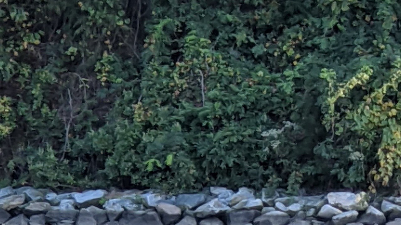 Photo of Outdoor in Green Haven