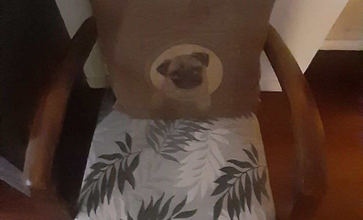 Photo of Others in Merignac