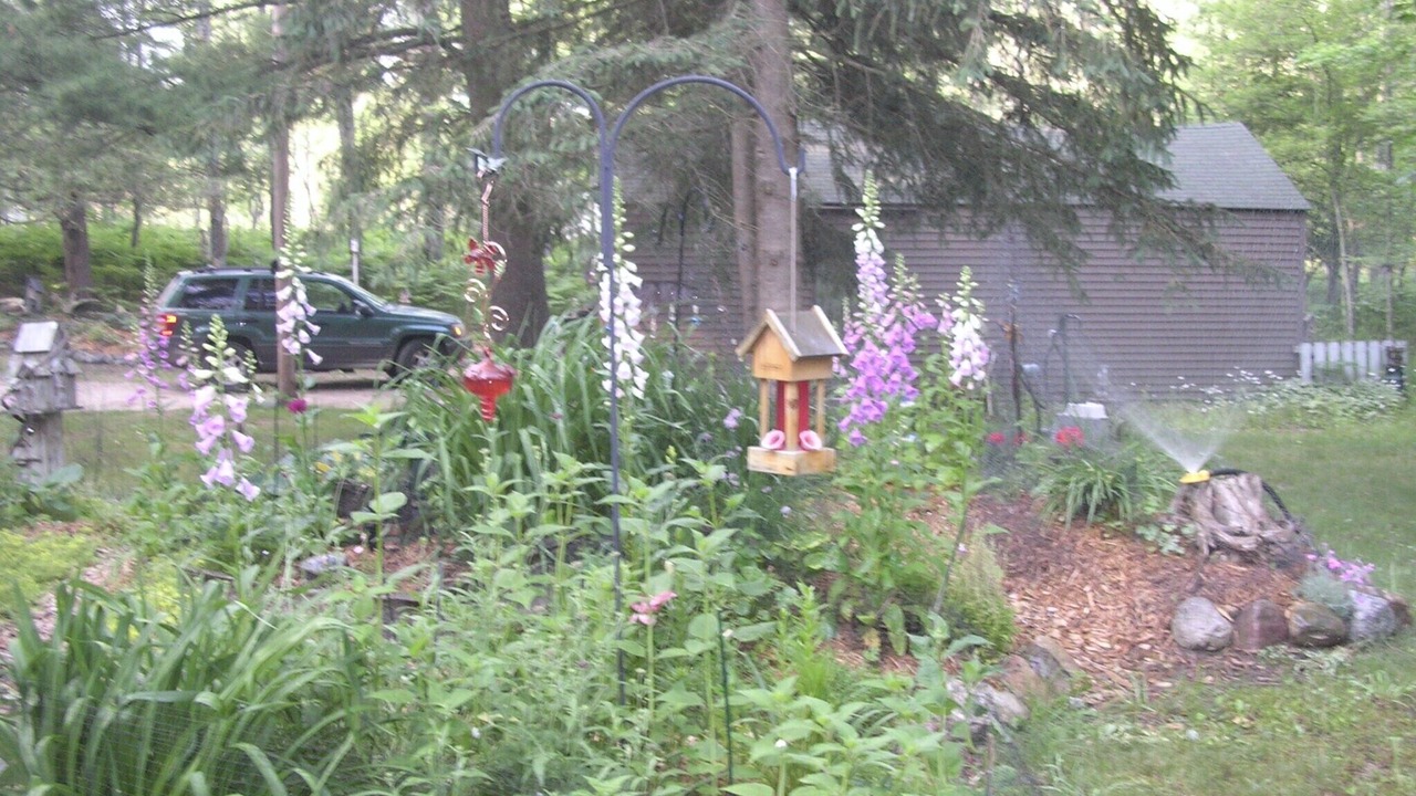 Photo of Outdoor in Thompsonville