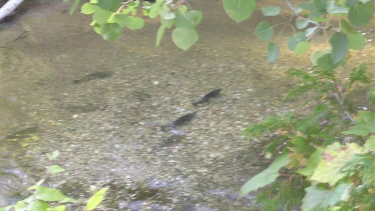 Photo of Others in Thompsonville