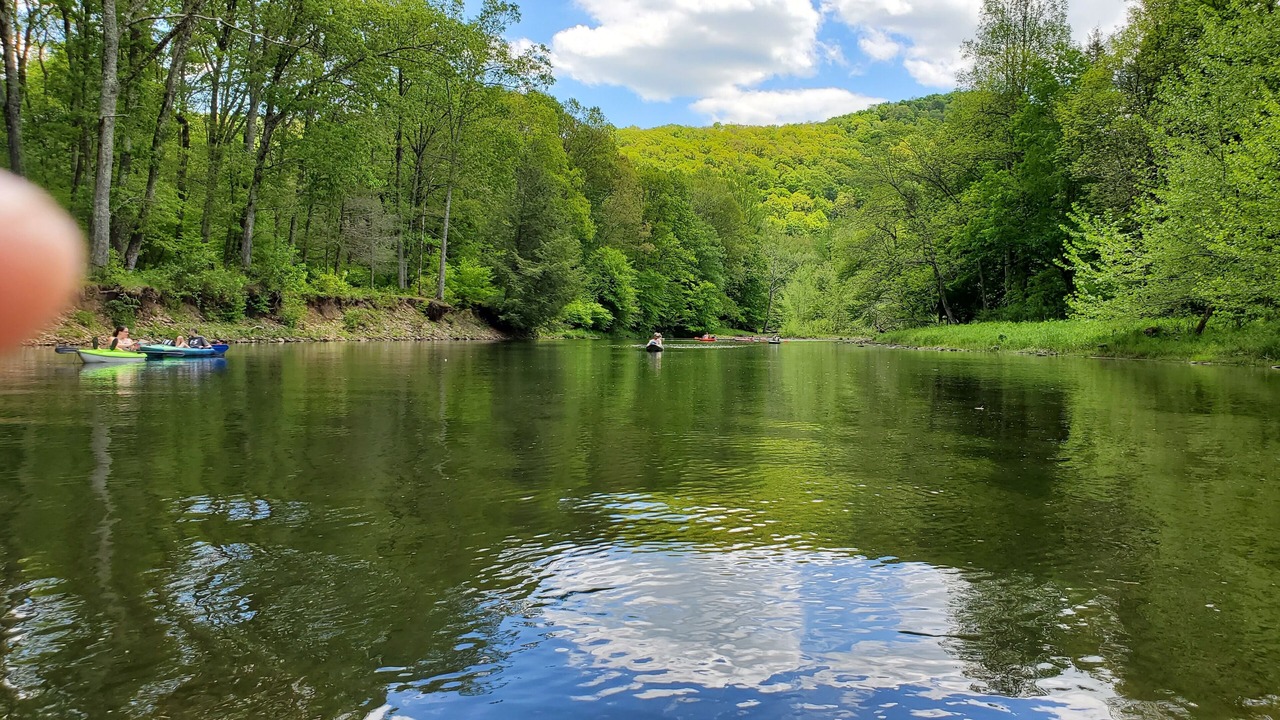 Photo of Outdoor in Elkins
