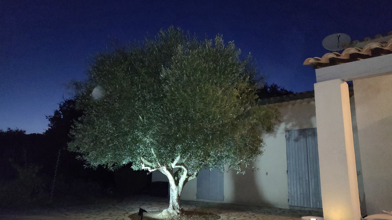 Photo of Outdoor in Fontareches