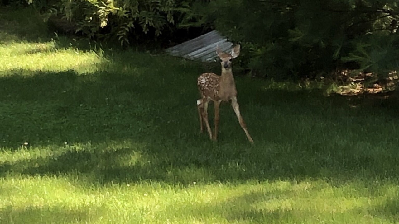 Photo of Outdoor in Charlestown