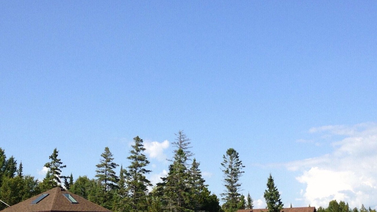 Photo of Others in Providence Bay