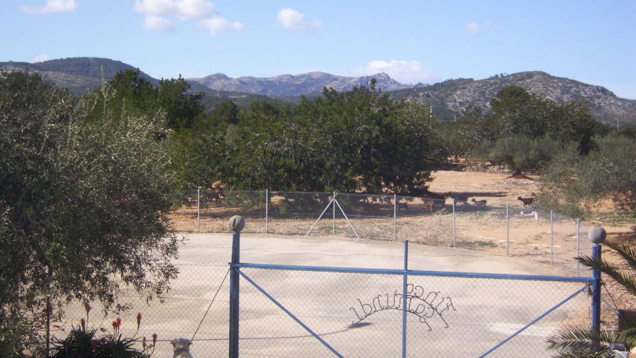 Photo of Others in L'Ampolla