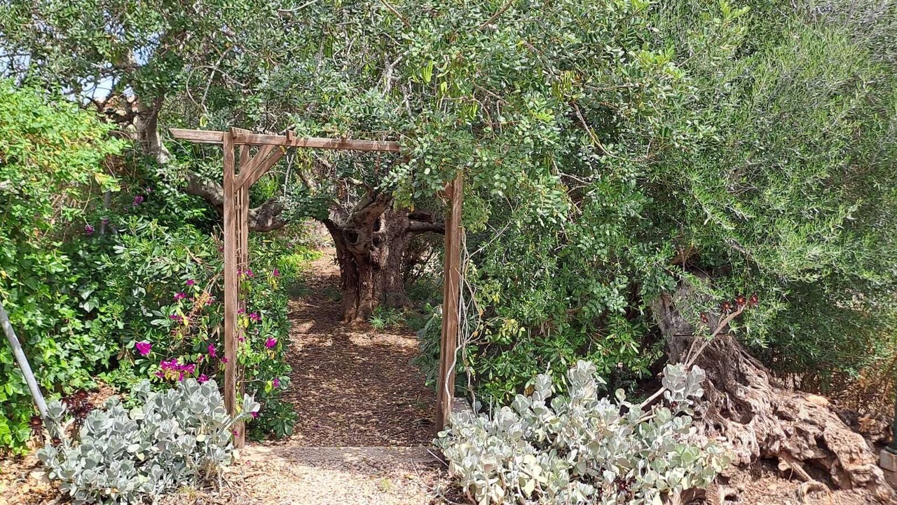 Photo of Outdoor in L'Ampolla