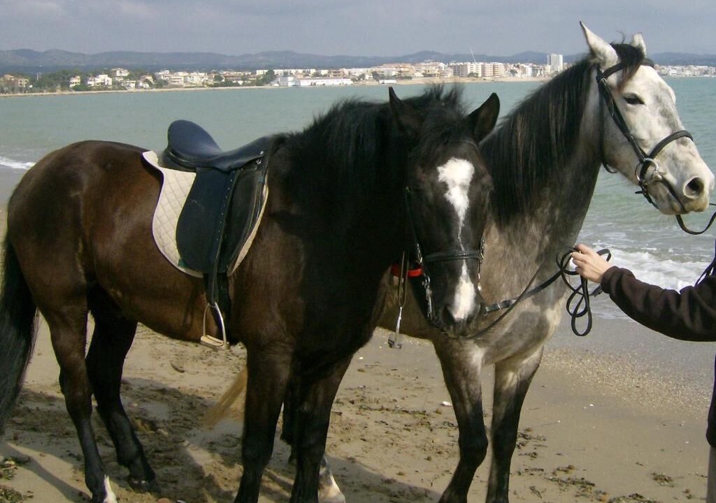 Photo of Others in L'Ampolla