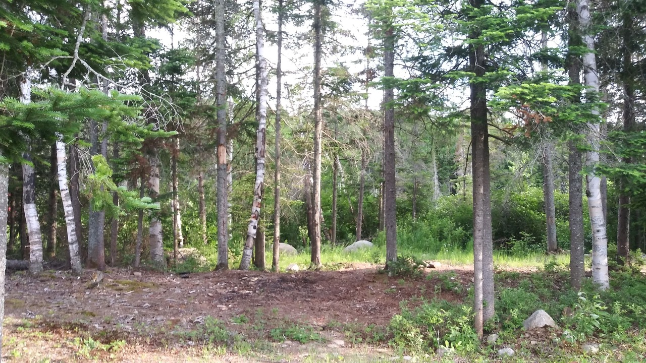 Photo of Outdoor in Tupper Lake