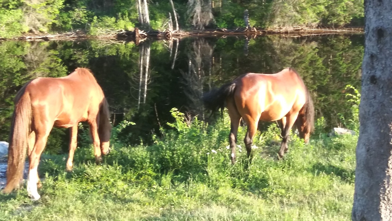 Photo of Outdoor in Tupper Lake