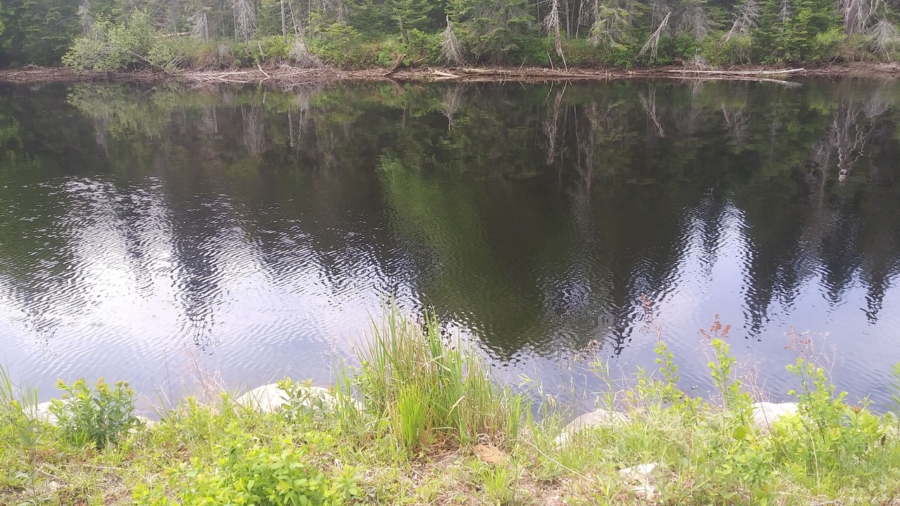 Photo of Others in Tupper Lake
