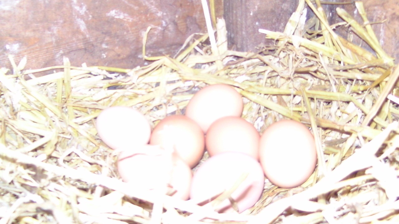 Photo of Others in Saint-Remy