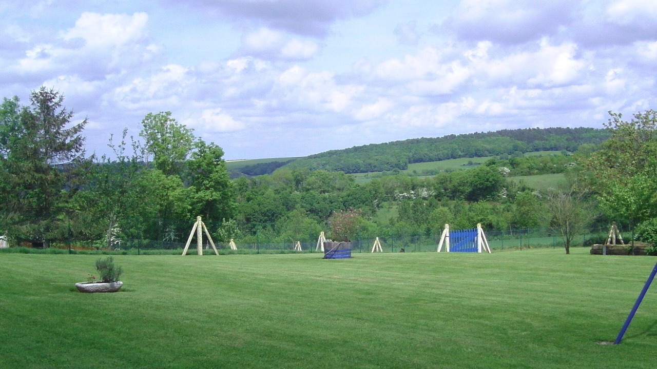 Photo of Others in Saint-Remy