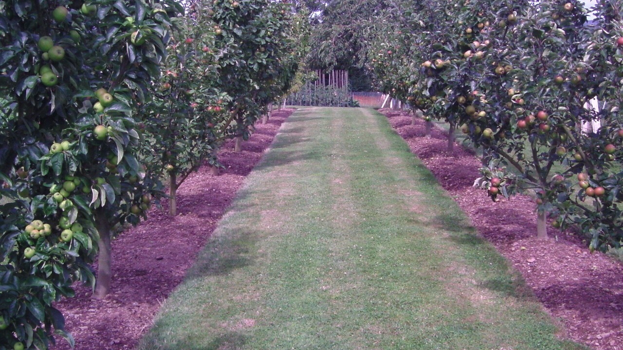 Photo of Outdoor in Saint-Remy