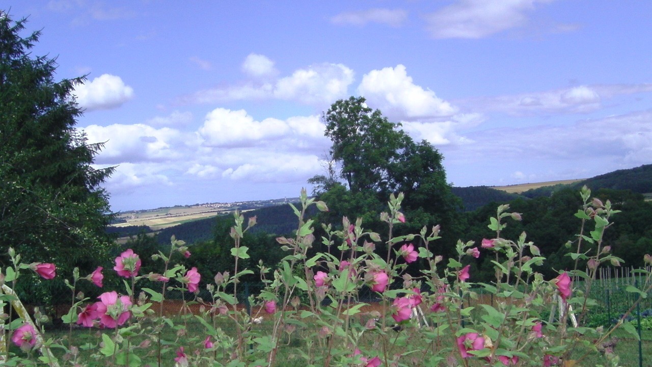 Photo of Outdoor in Saint-Remy