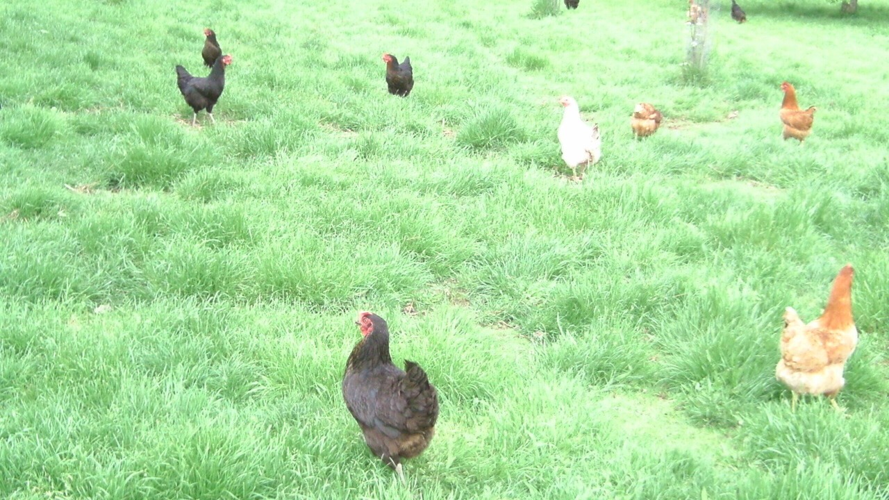 Photo of Outdoor in Saint-Remy