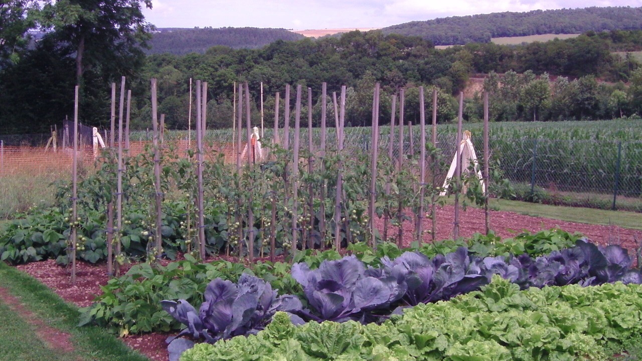 Photo of Outdoor in Saint-Remy