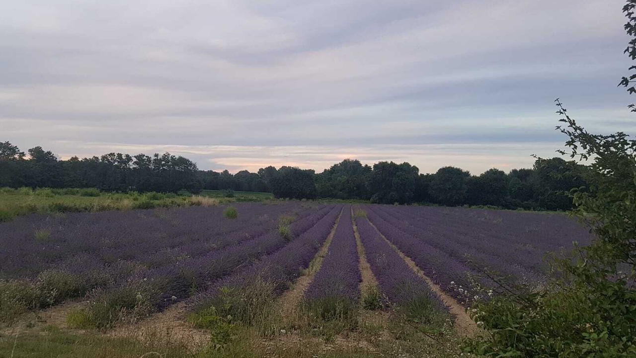 Photo of Outdoor in Potelieres