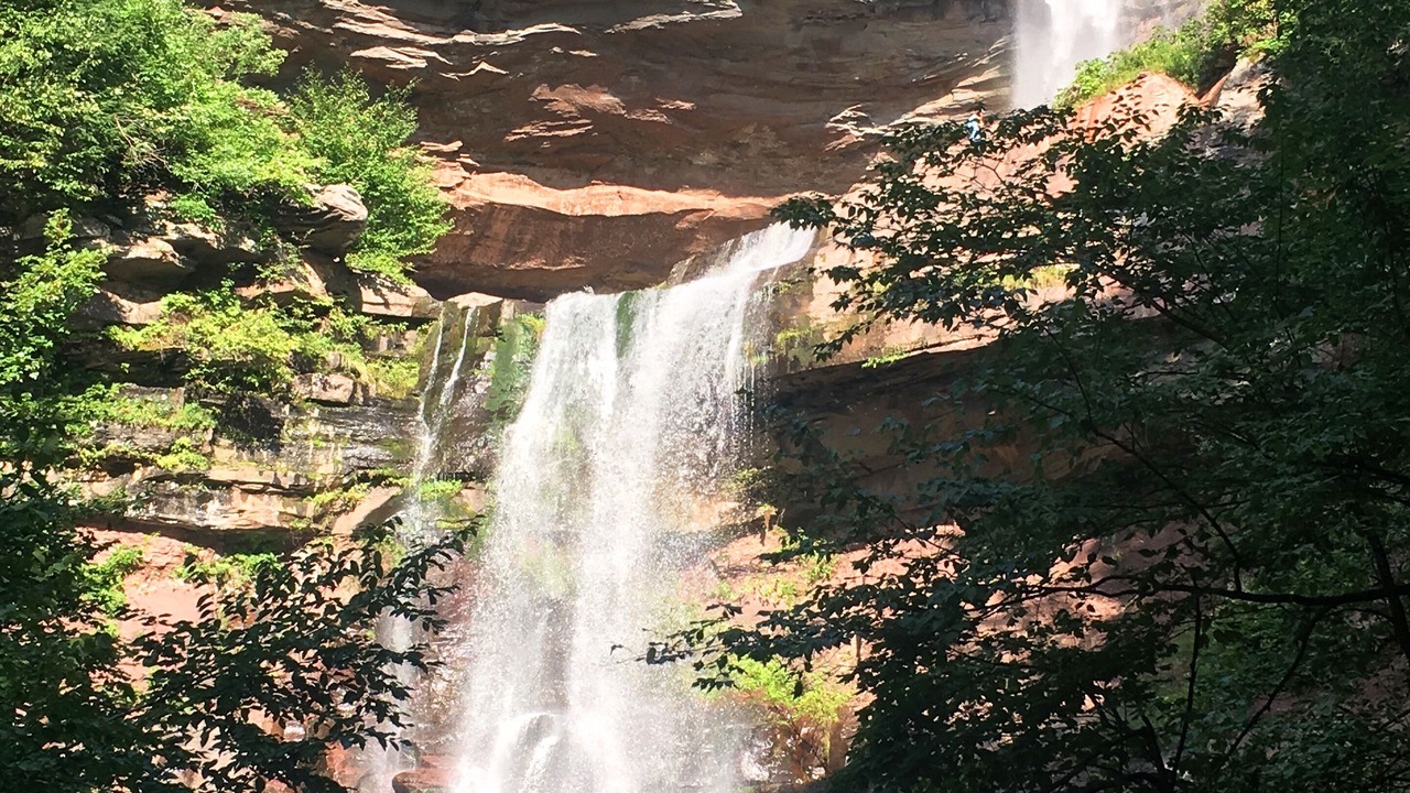 Photo of Others in Denver