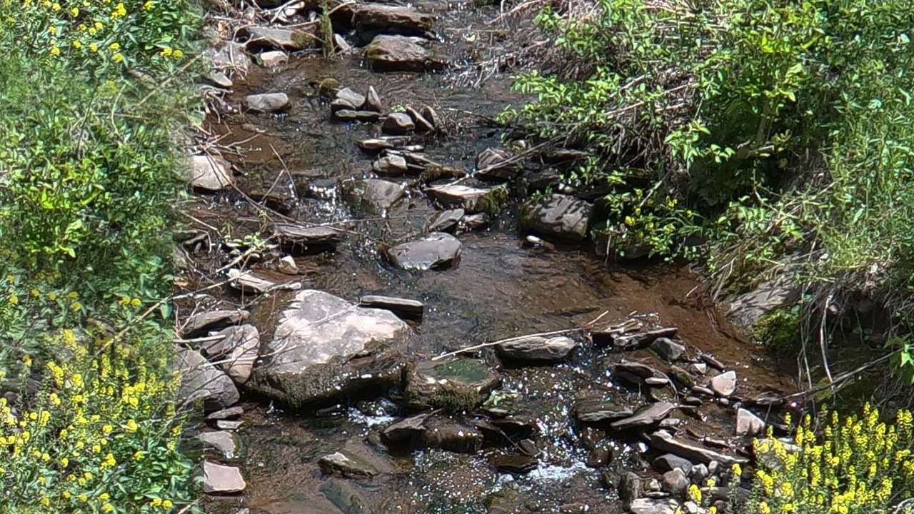 Photo of Others in Denver