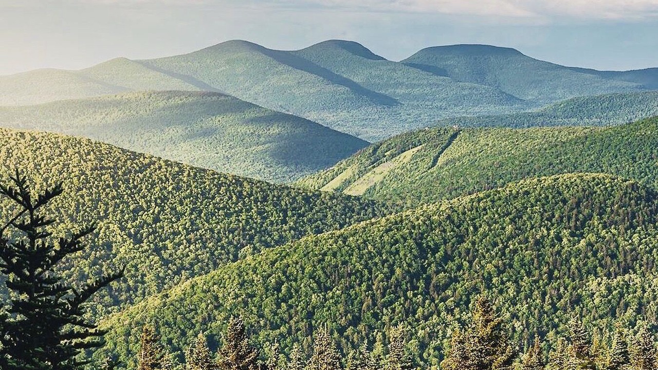 Photo of Others in Denver