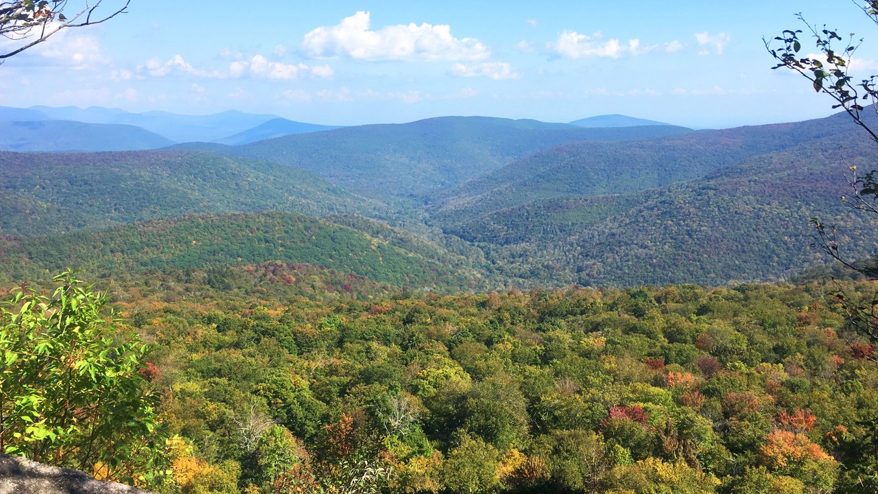 Photo of Others in Denver
