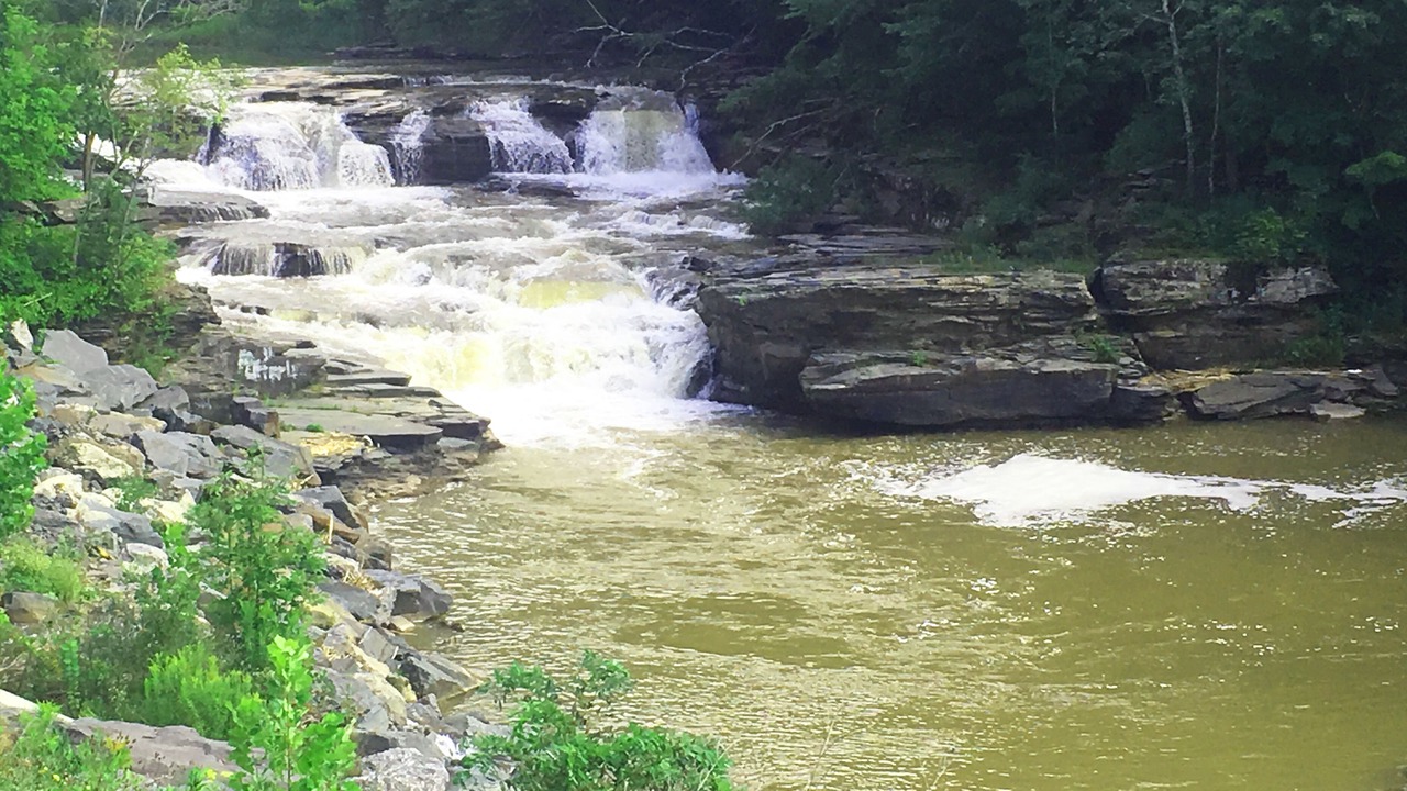 Photo of Others in Denver