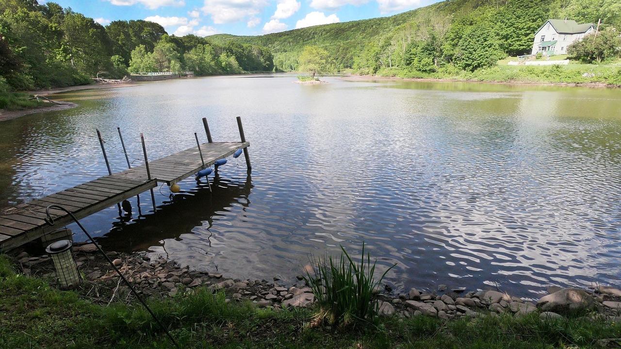 Photo of Others in Denver