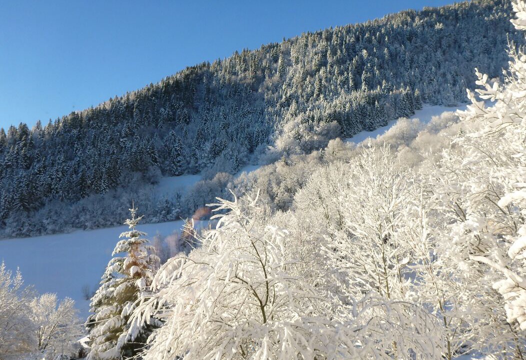 Photo of Others in Engins