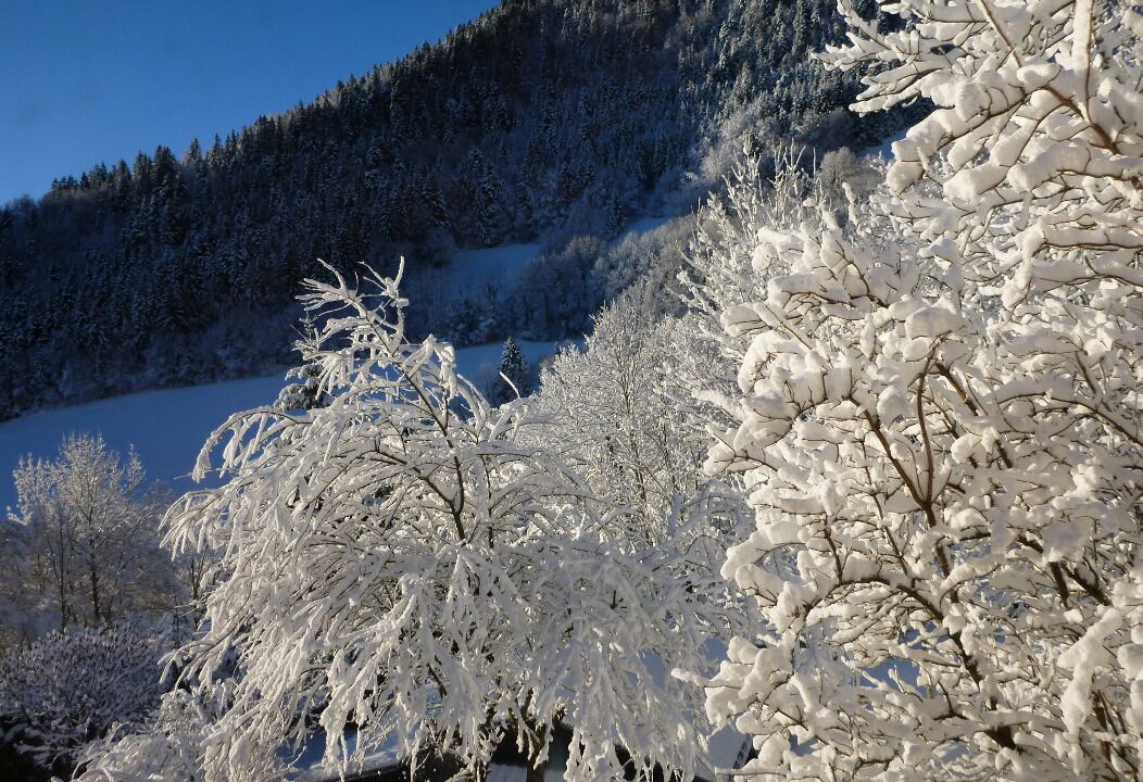 Photo of Others in Engins