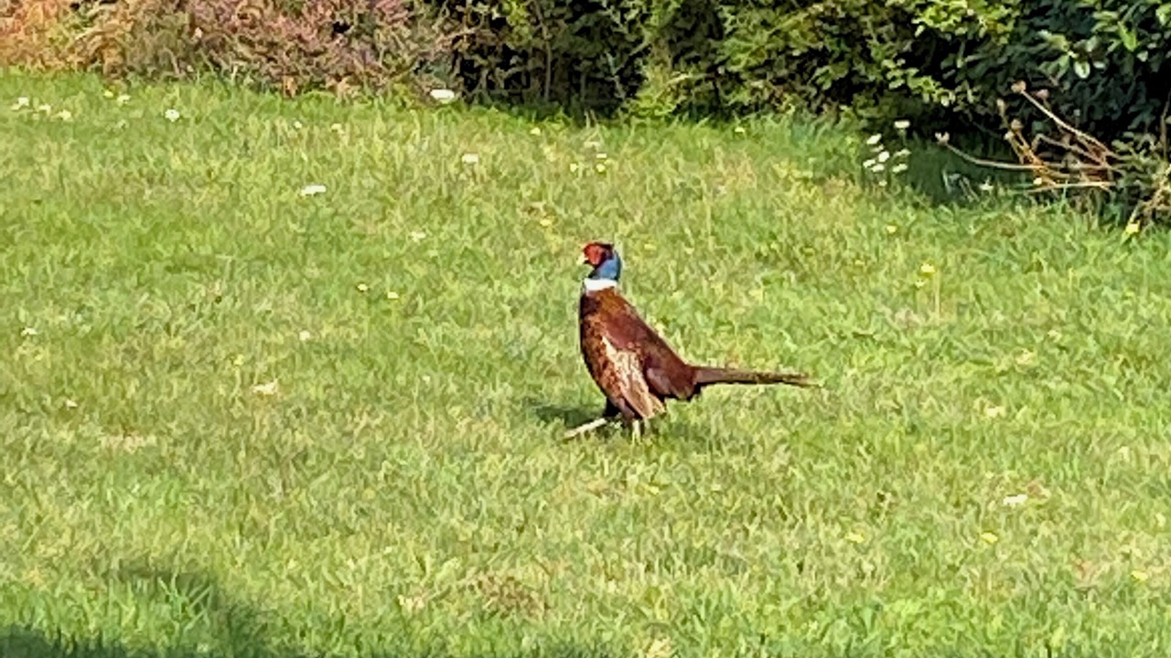 Photo of Others in Cleden-Cap-Sizun