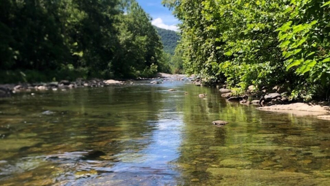 Photo of Others in Rockbridge Baths