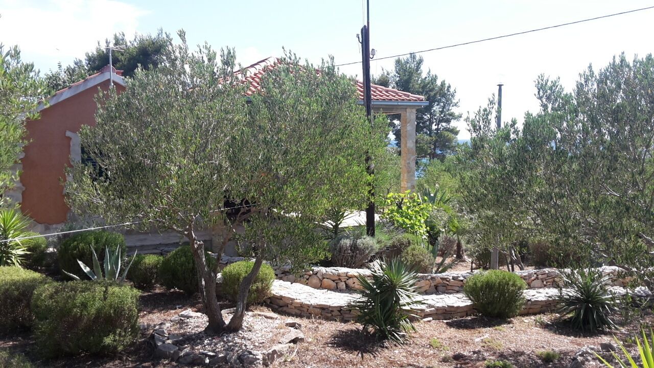 Photo of Outdoor in Cove Osibova (Milna)