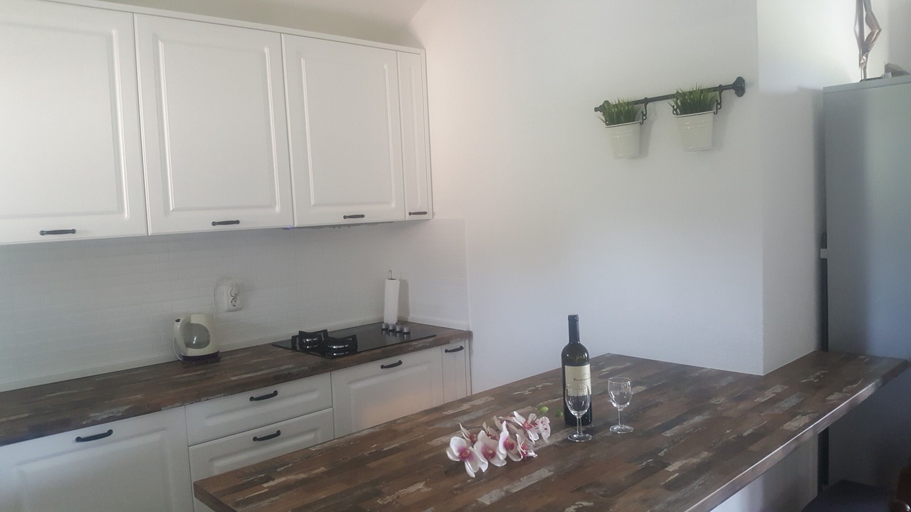 Photo of Kitchen in Cove Osibova (Milna)