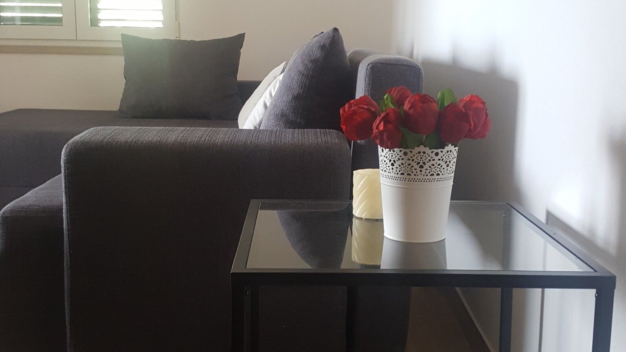 Photo of Livingroom in Cove Osibova (Milna)