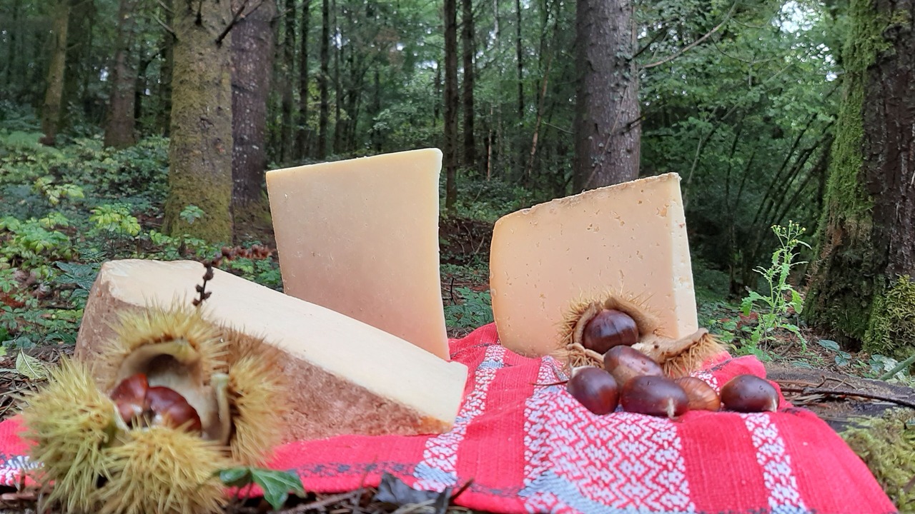 Photo of Others in Soursac