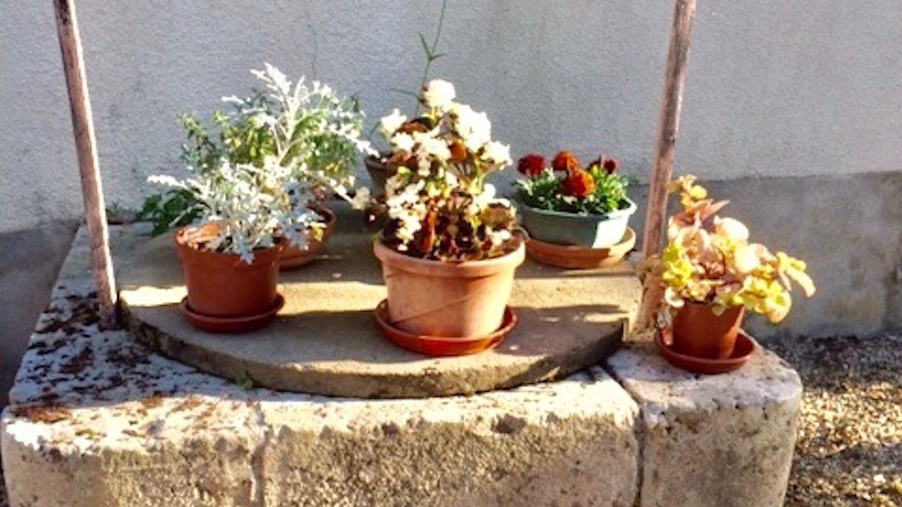 Photo of Outdoor in Ferolles