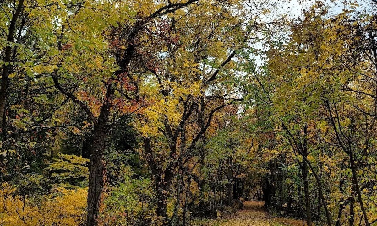 Photo of Outdoor in South Bloomingville
