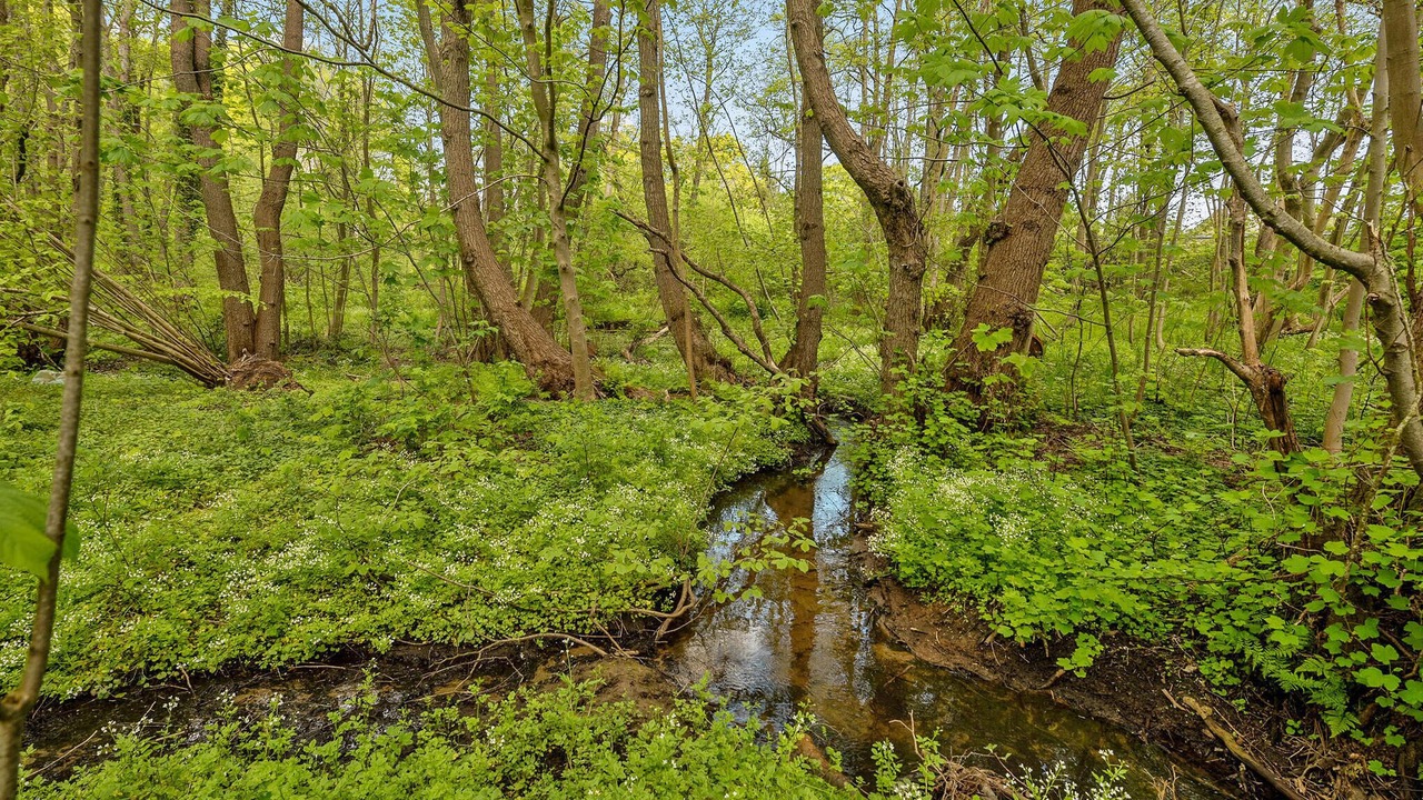 Photo of Others in Sonderhav