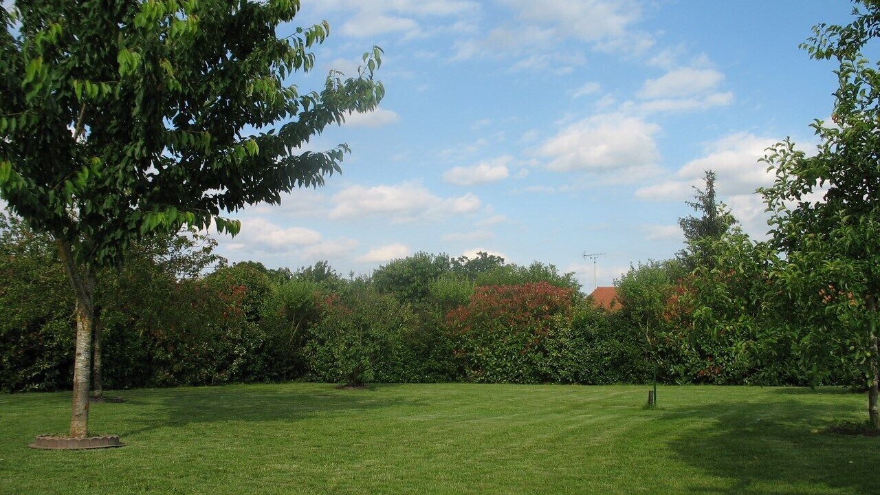 Photo of Outdoor in Saint-Georges-les-Baillargeaux