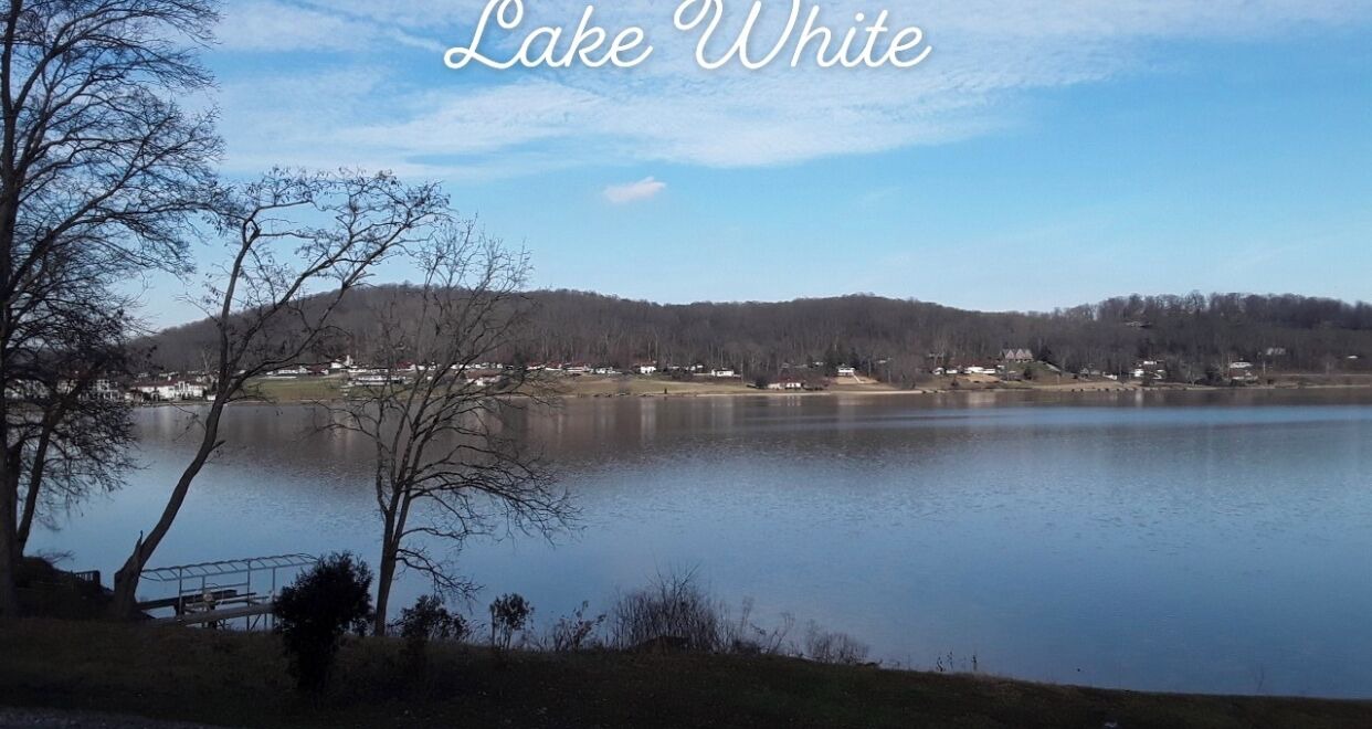 Photo of Others in Waverly