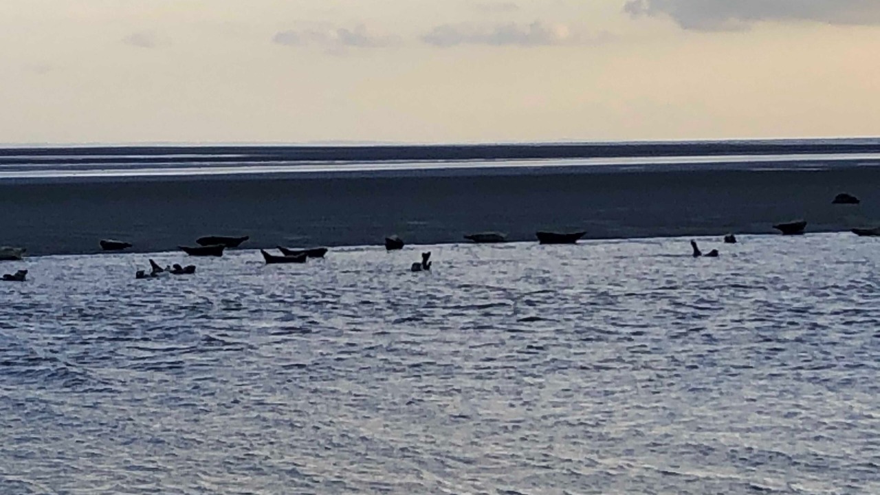 Photo of Others in Berck-sur-Mer