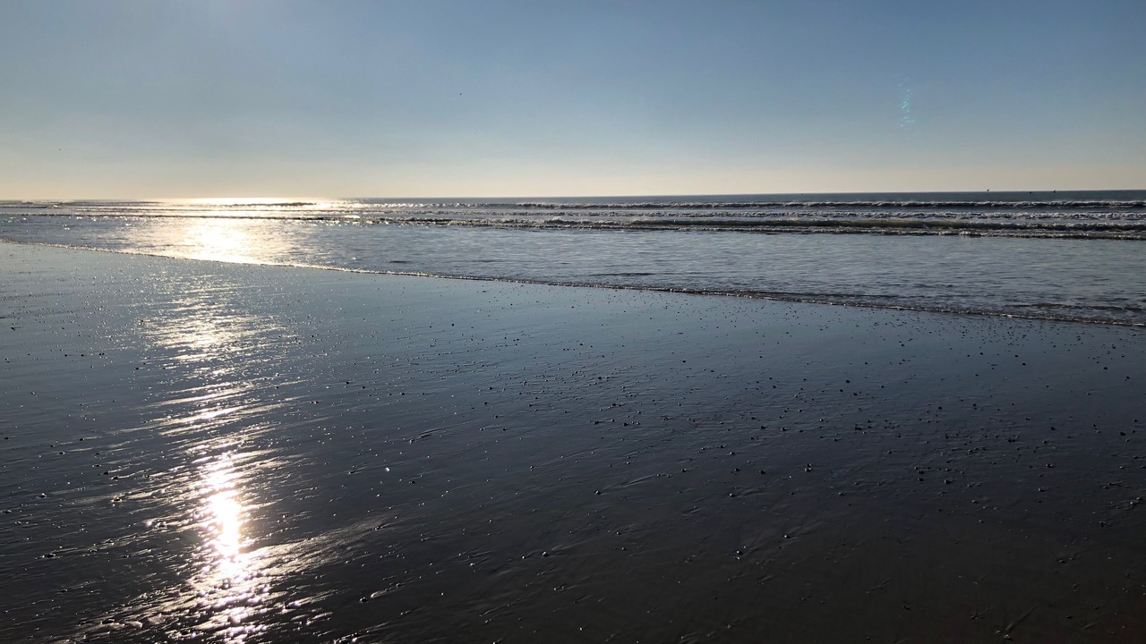 Photo of Others in Berck-sur-Mer